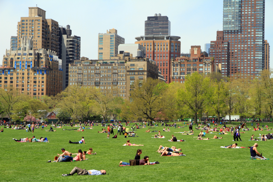 Sheep Meadow Central Park Picnic - 10 Things You Must Do In New York This Summer // NotJessFashion.com