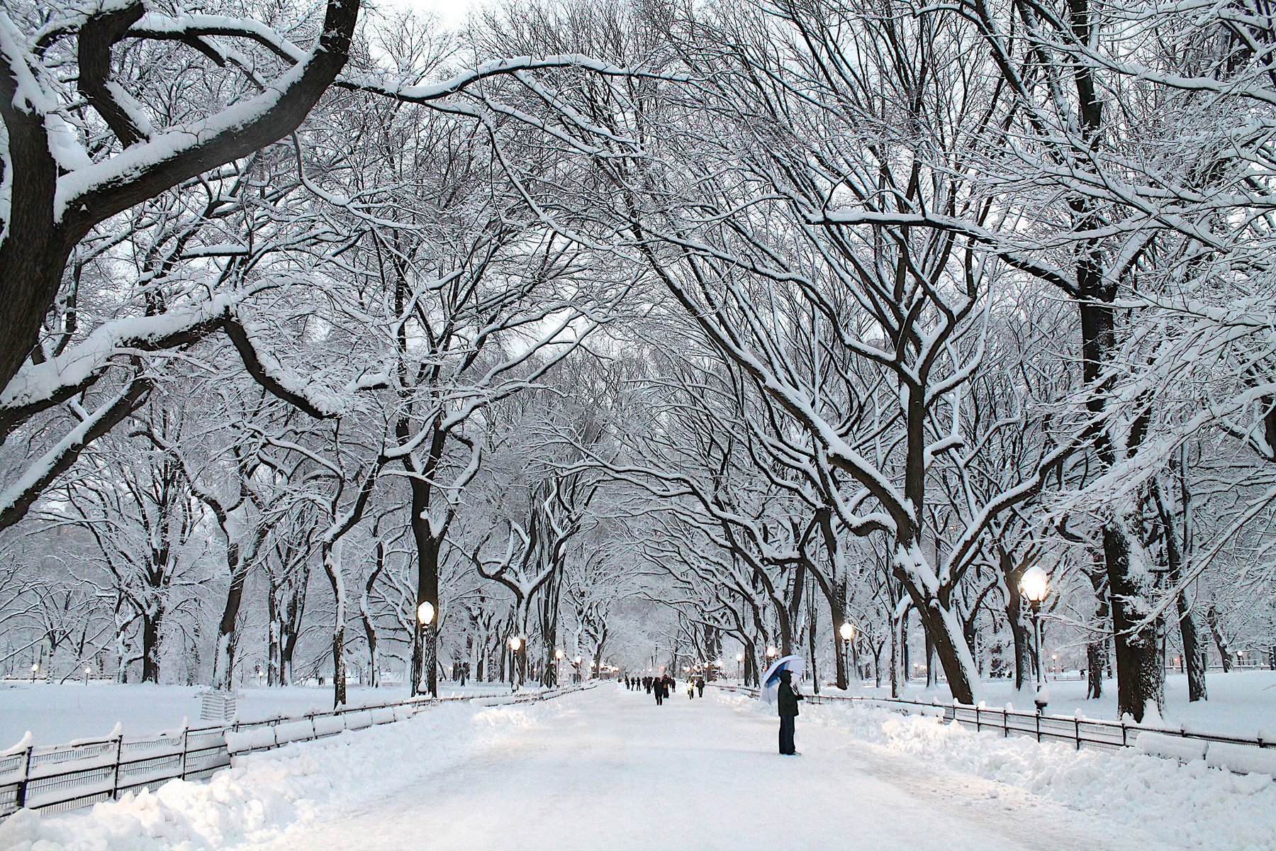 Places for Great Snow Photos - Central Park in the Winter // Notjessfashion.com