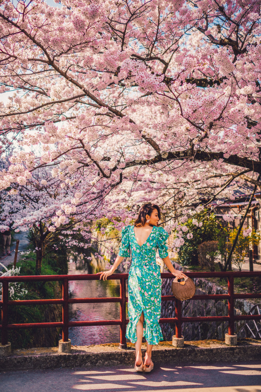 7 Best Spots for Cherry Blossoms in Japan - Kyoto - Philosopher Path, luxury travel blogger // Notjessfashion.com
